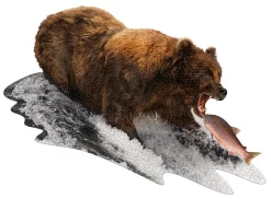 Puzzel I AM - Grizzly Beer - 1000 Stukjes