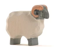 Ostheimer Moorland Ram 11751